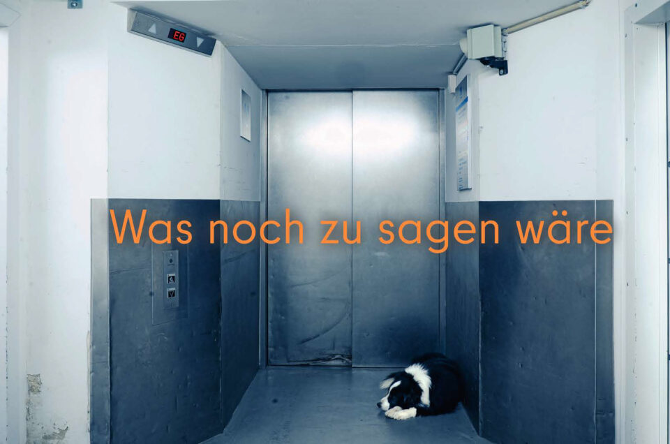 Bild von einem Fahrstuhleingang, davor liegt ein Hund, Schrift: Was noch zu sagen wäre
